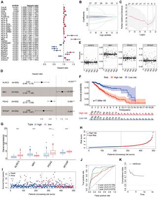 Prognostic value of four immune-related genes in lower-grade gliomas: a biomarker discovery study